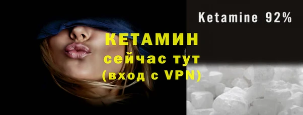 гидра Верея