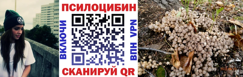 Псилоцибиновые грибы Psilocybine cubensis  наркота  Бородино 